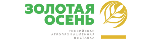 Золотая осень 2019