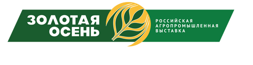 Золотая осень 2019