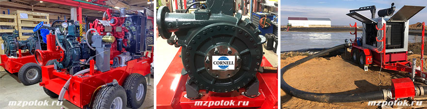 mz-cornell-2-880x226.jpg mz-cornell-2-880x226.jpg