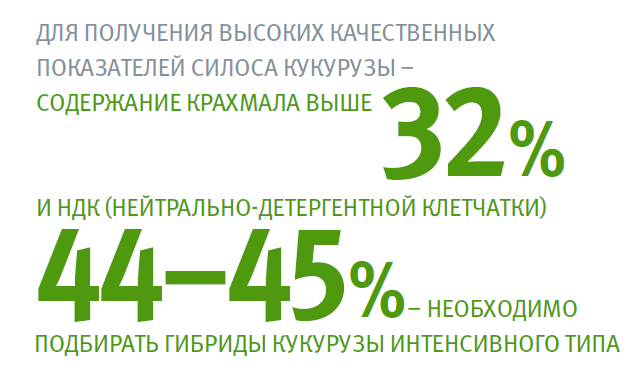 1.png 1.png