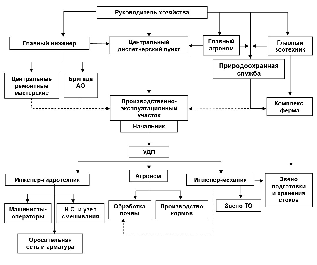 Структурная схема организации