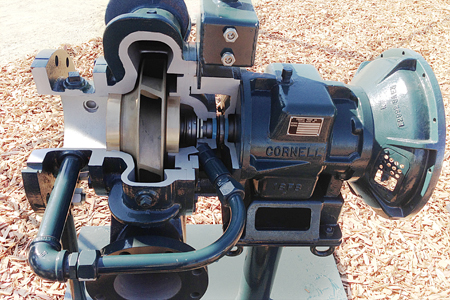 cornell-pump-section-02